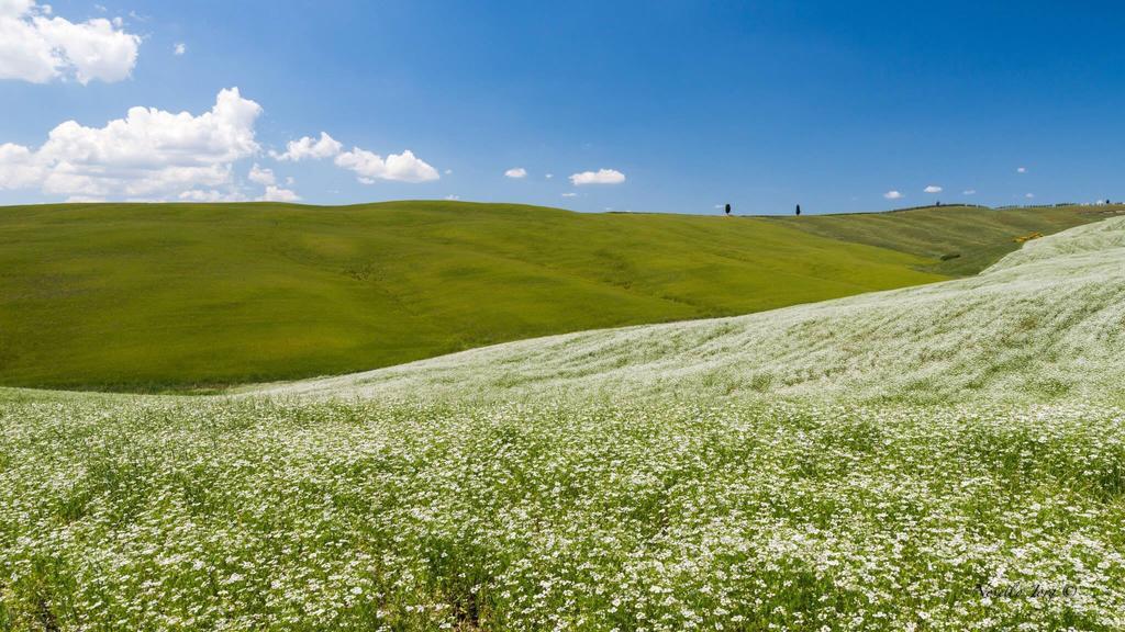 Antica Locanda Пиенца Екстериор снимка